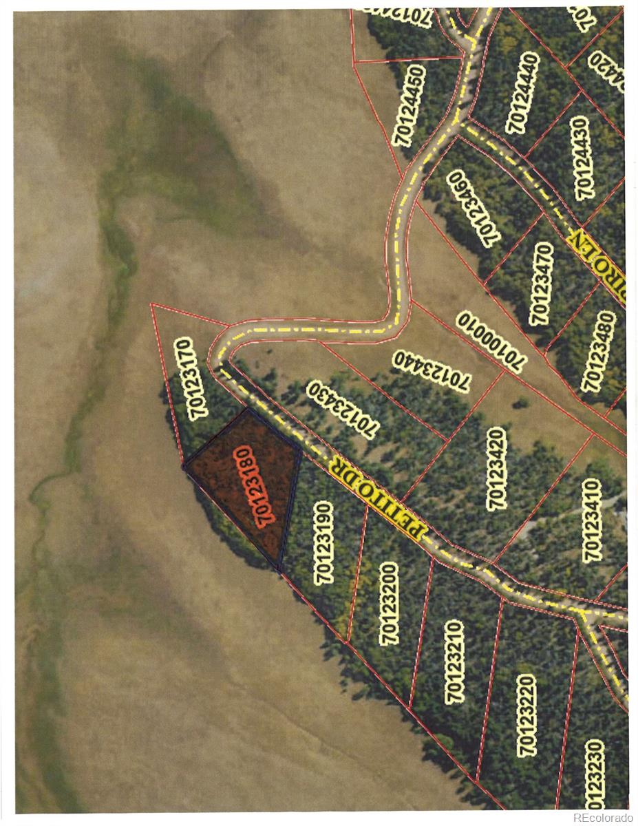 Lot 2397 Petito Dr, Fort Garland, CO 81133