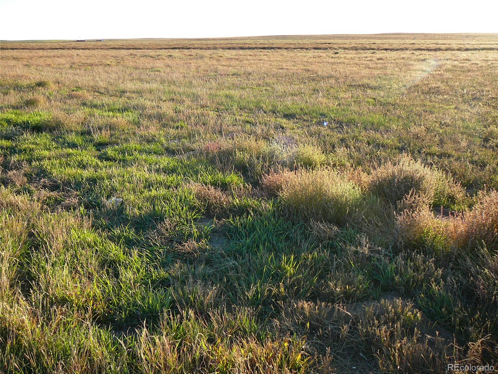 TBD Hwy 52, Wiggins, CO 80654