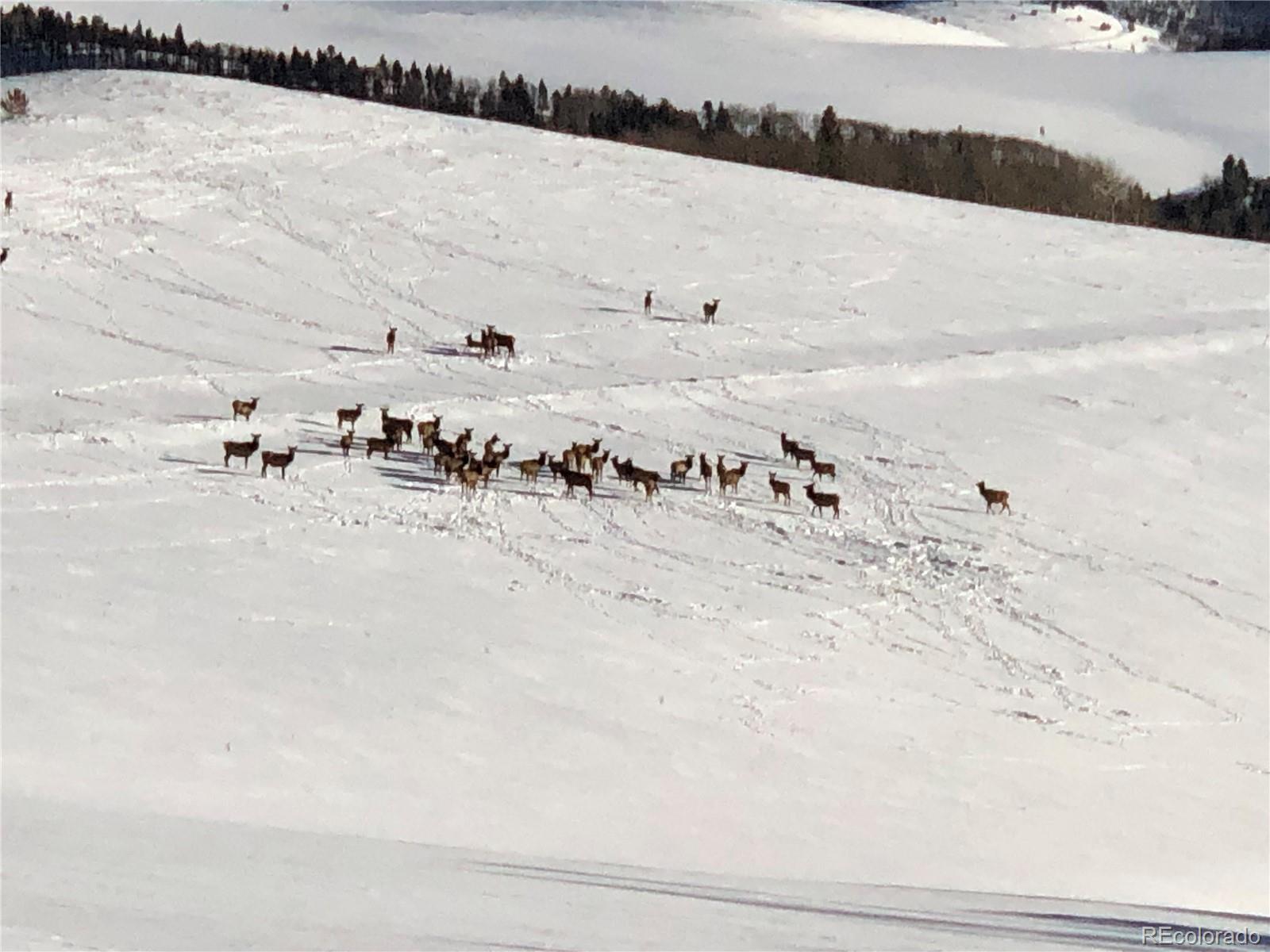 Lot 499 Collinson Dr Lot 499, Fort Garland, CO 81133