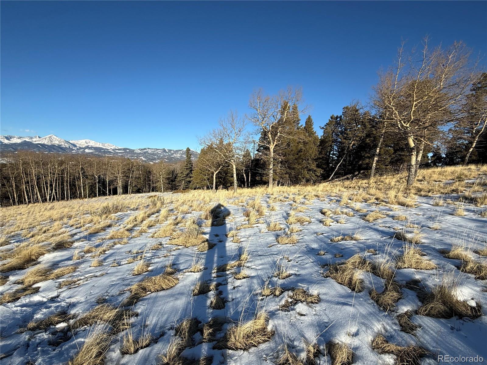 Lot 499 Collinson Dr Lot 499, Fort Garland, CO 81133
