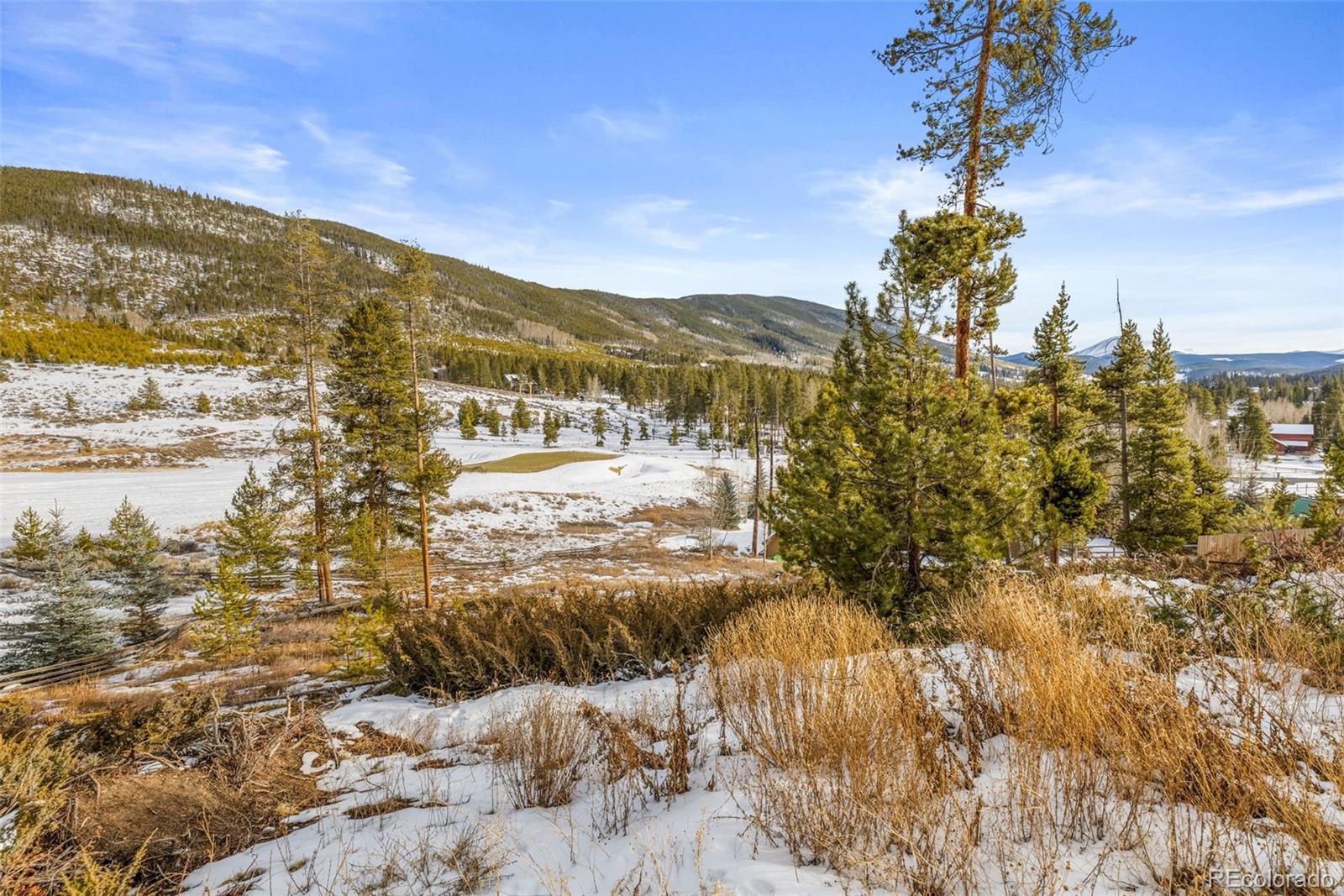 442 Idlewild Dr, Dillon, CO 80435