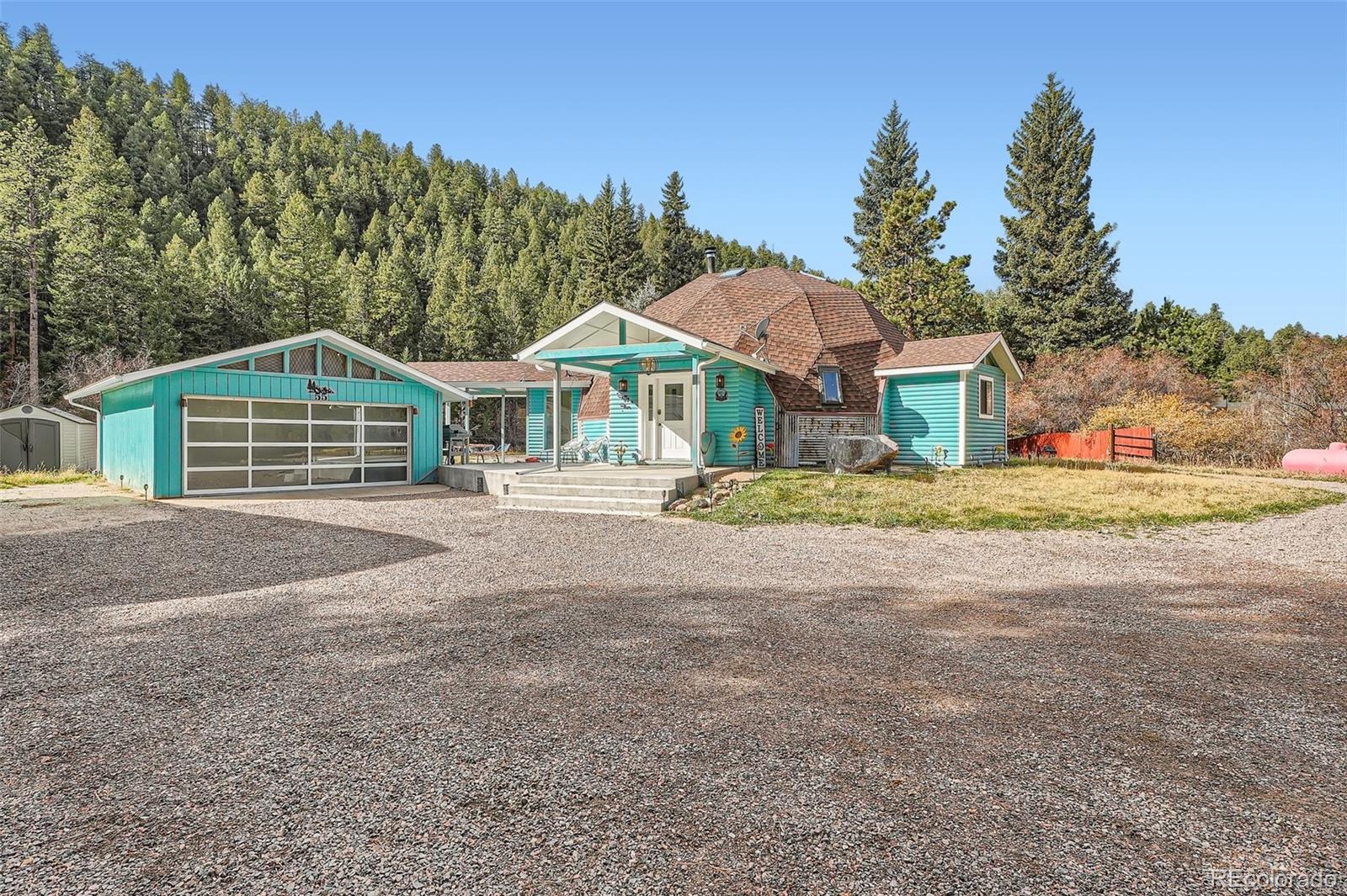 55 Iron Horse Ln, Bailey, CO 80421