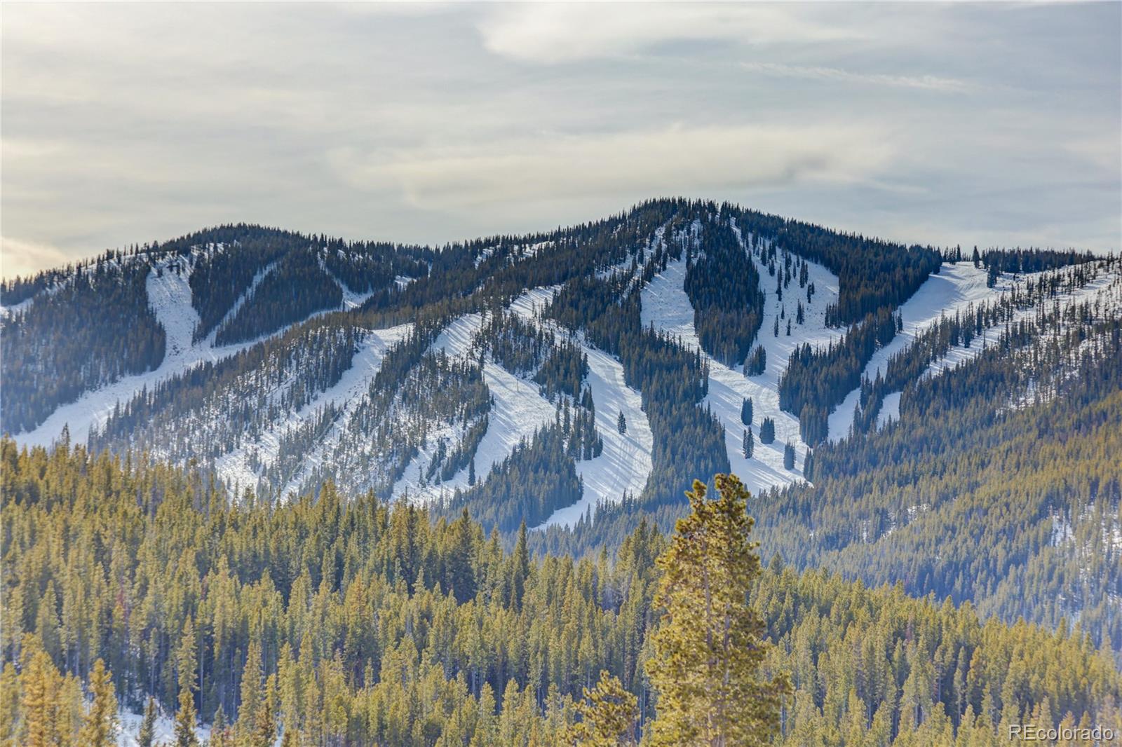 313 N Woods Pl, Winter Park, CO 80482