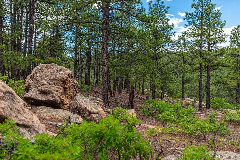 13250 Mountain Meadow Tc, Weston, CO 81091