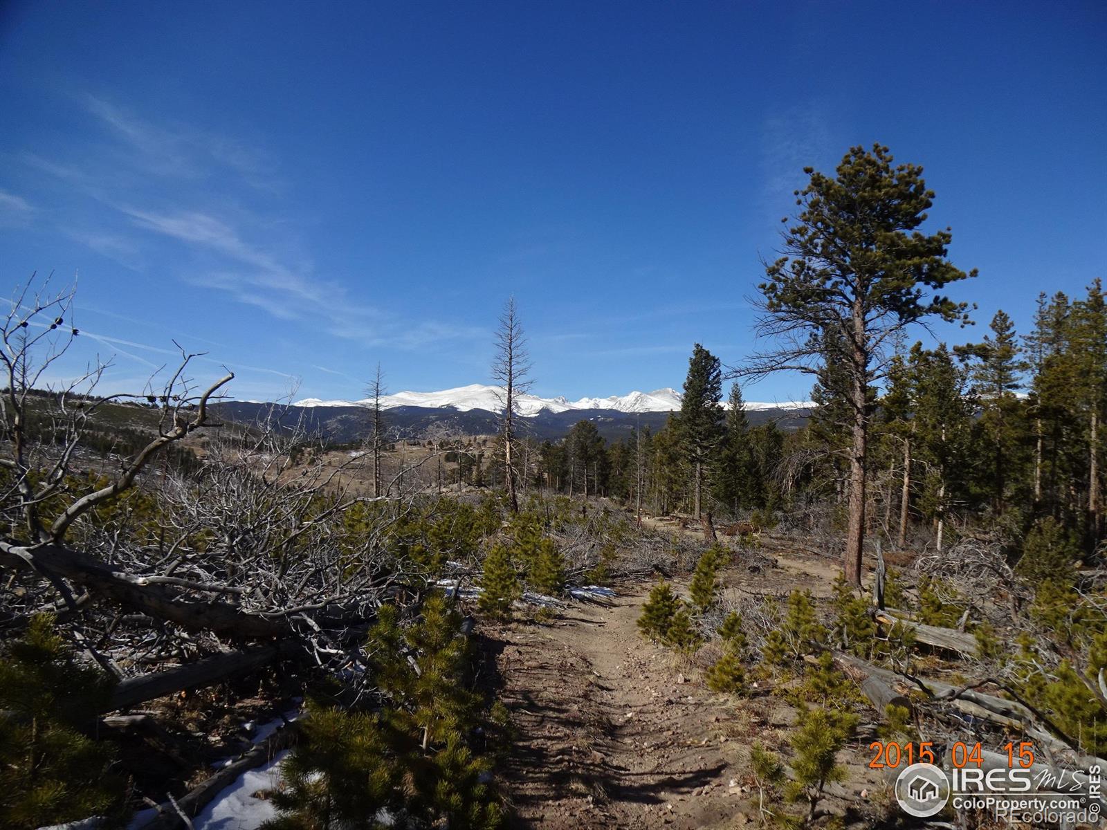 2315 Ridge Rd, Nederland, CO 80466