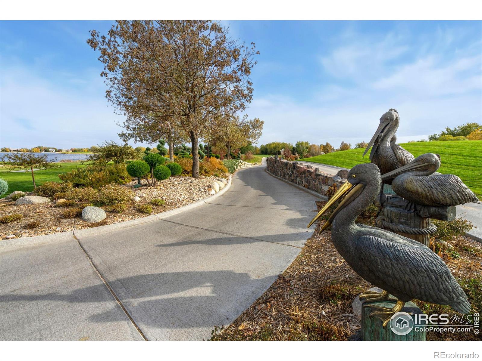 1343 Lake Cir #B, Windsor, CO 80550