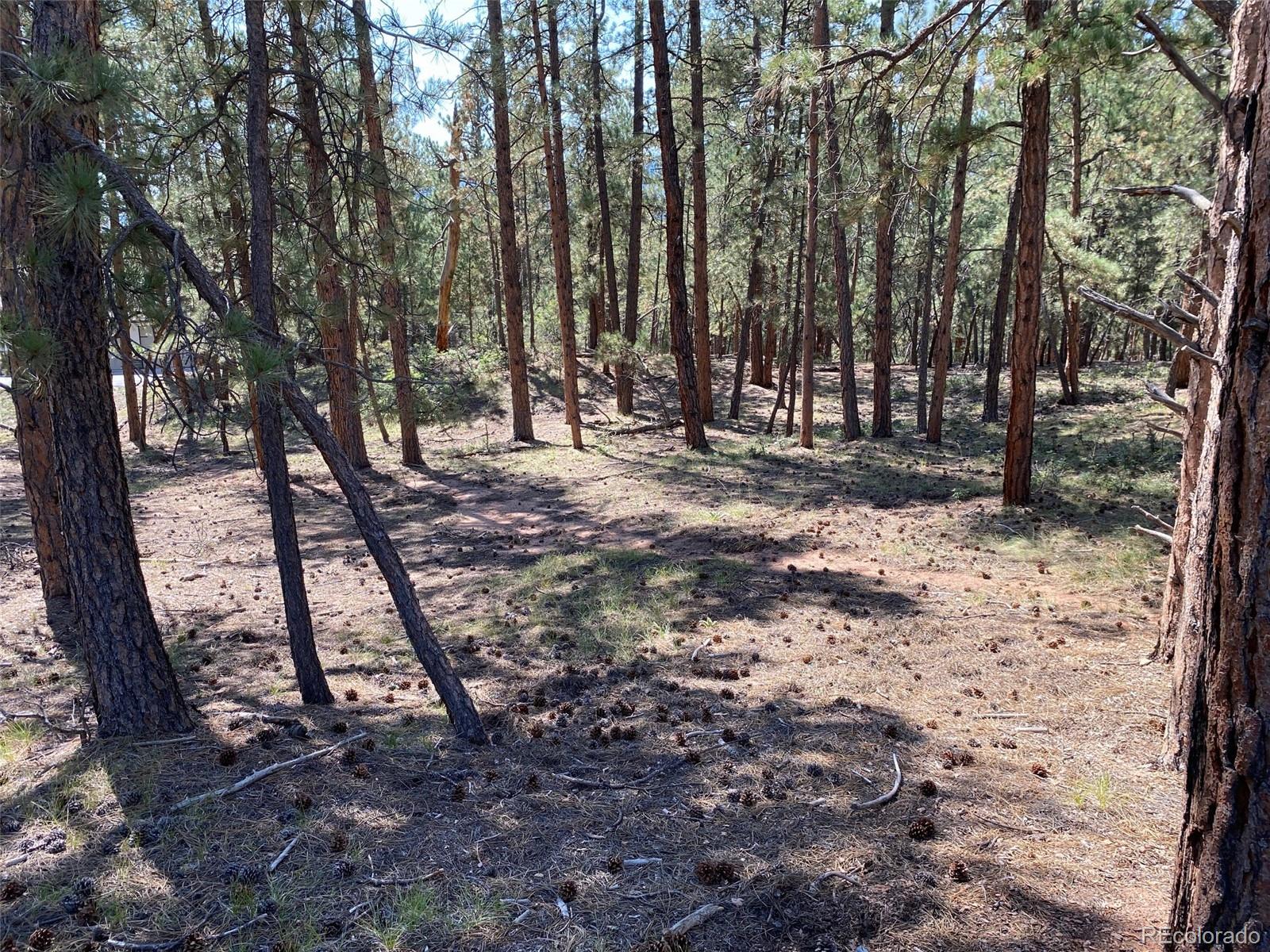 8141 Delaware Pl, Larkspur, CO 80118