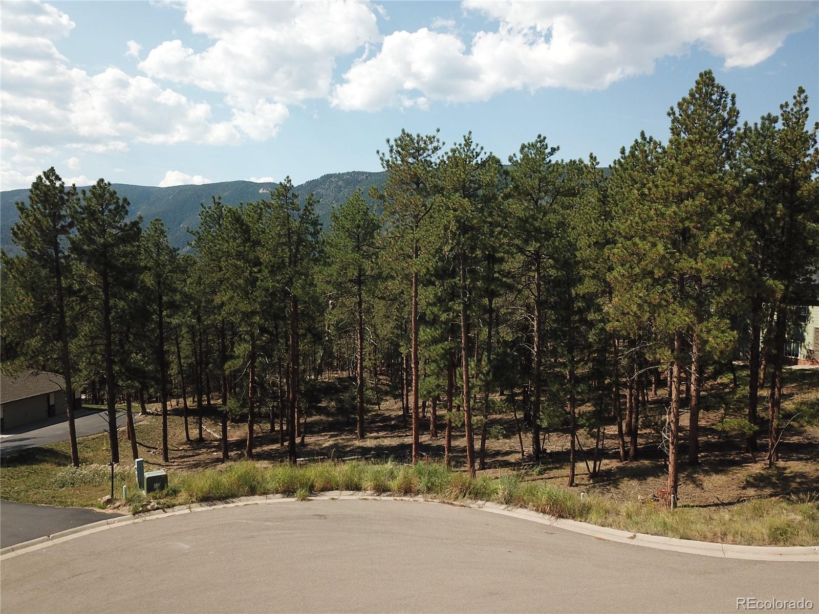 8141 Delaware Pl, Larkspur, CO 80118