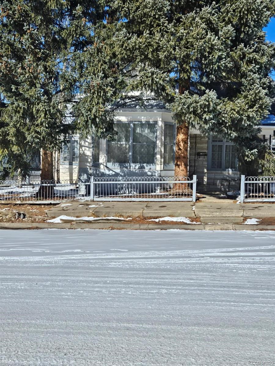 414 W 3rd St, Leadville, CO 80461