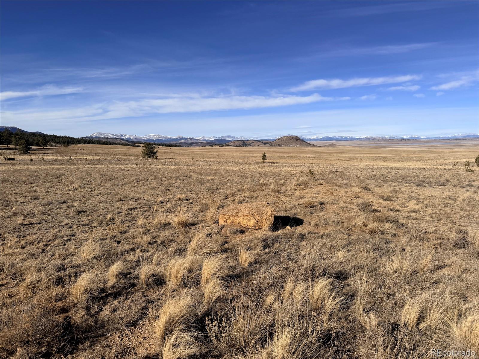 311 Harness Way, Hartsel, CO 80449