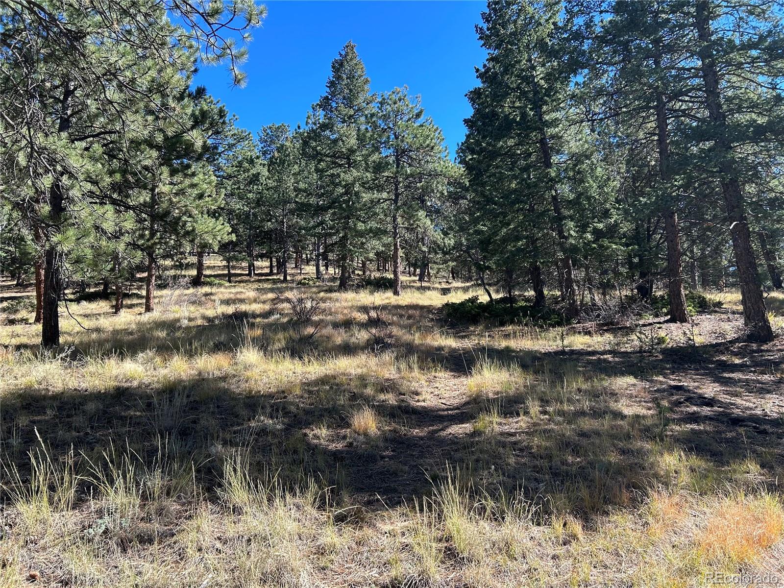 00 White House Trl, Evergreen, CO 80439