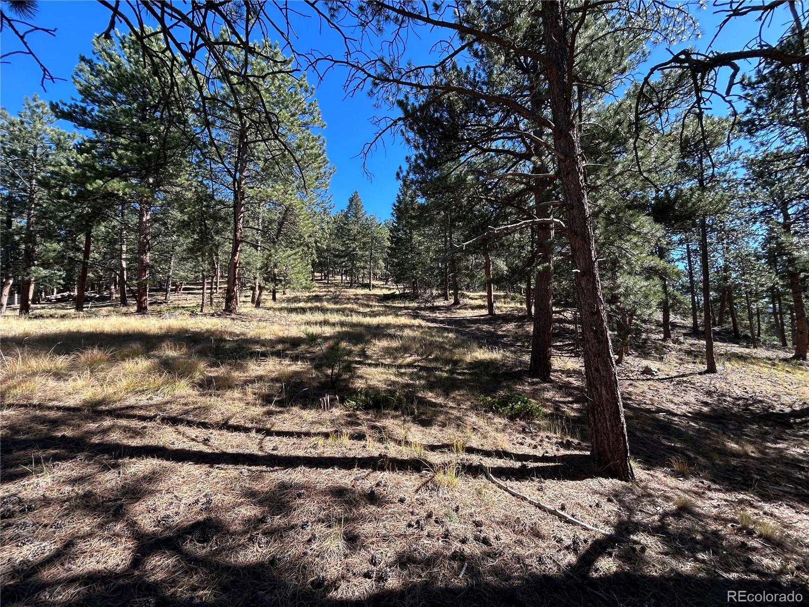 0 White House, Evergreen, CO 80439