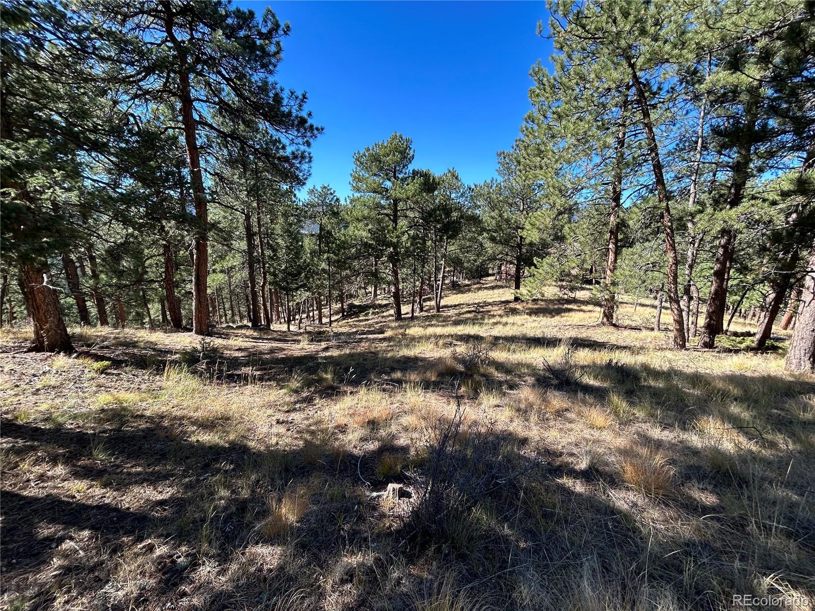0 White House, Evergreen, CO 80439