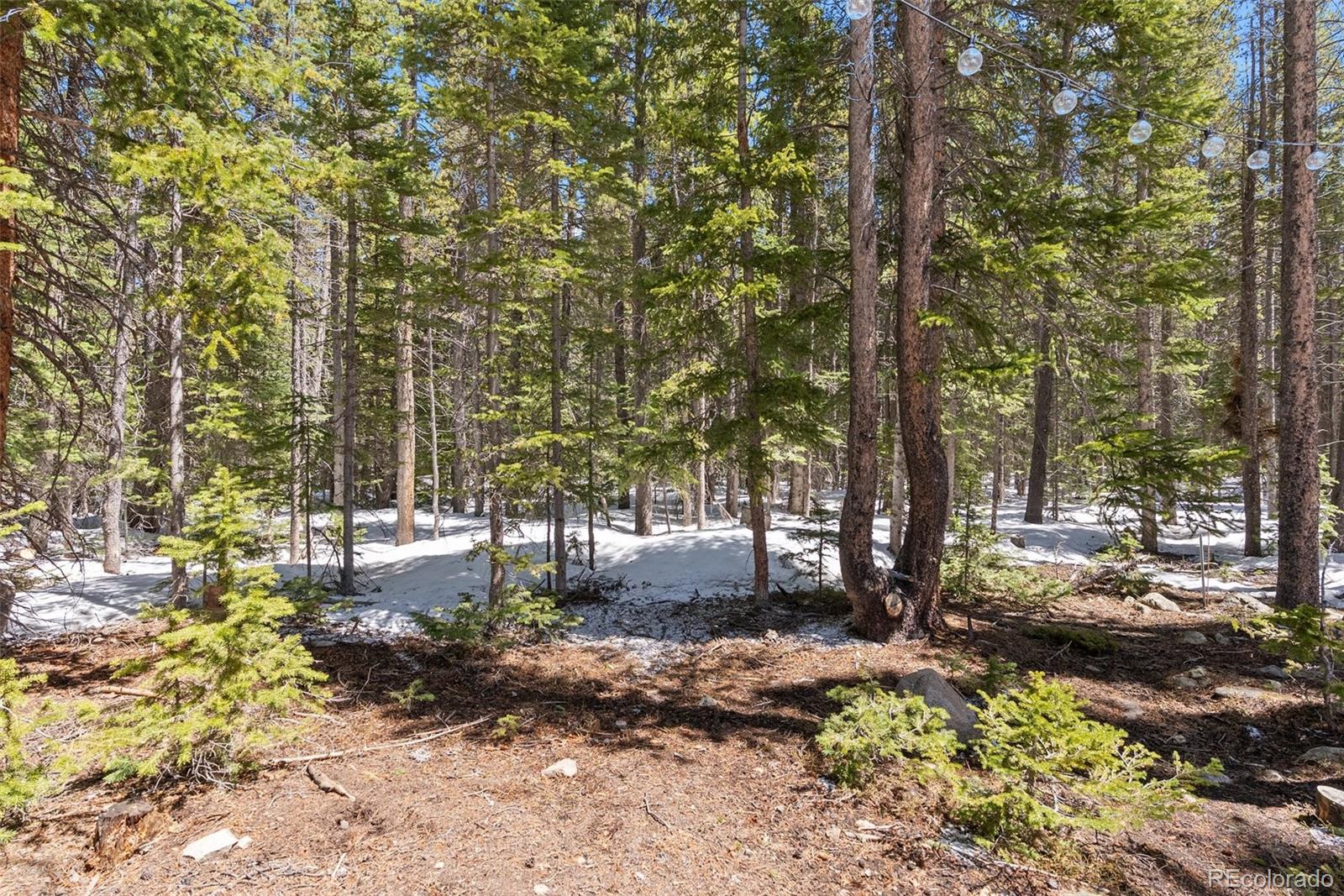 400 Upper Forest Rd, Idaho Springs, CO 80452