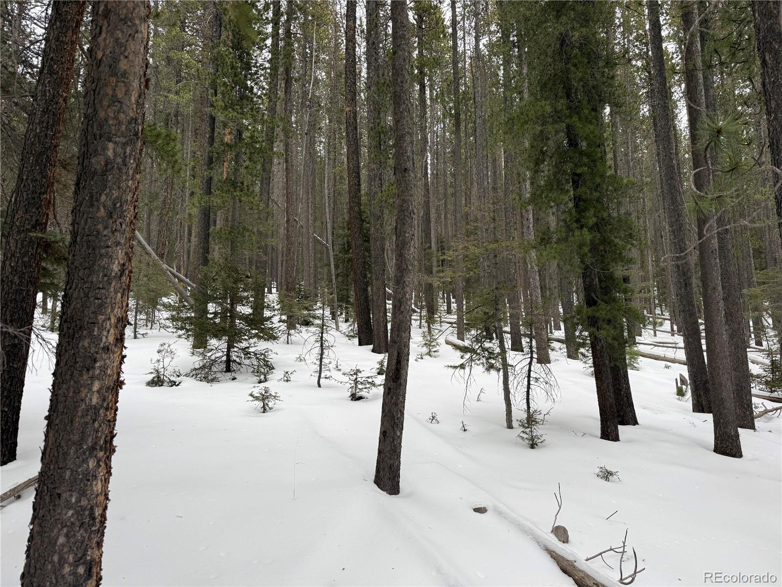 Lot 2805 Moir Dr Lot 2805, Fort Garland, CO 81133