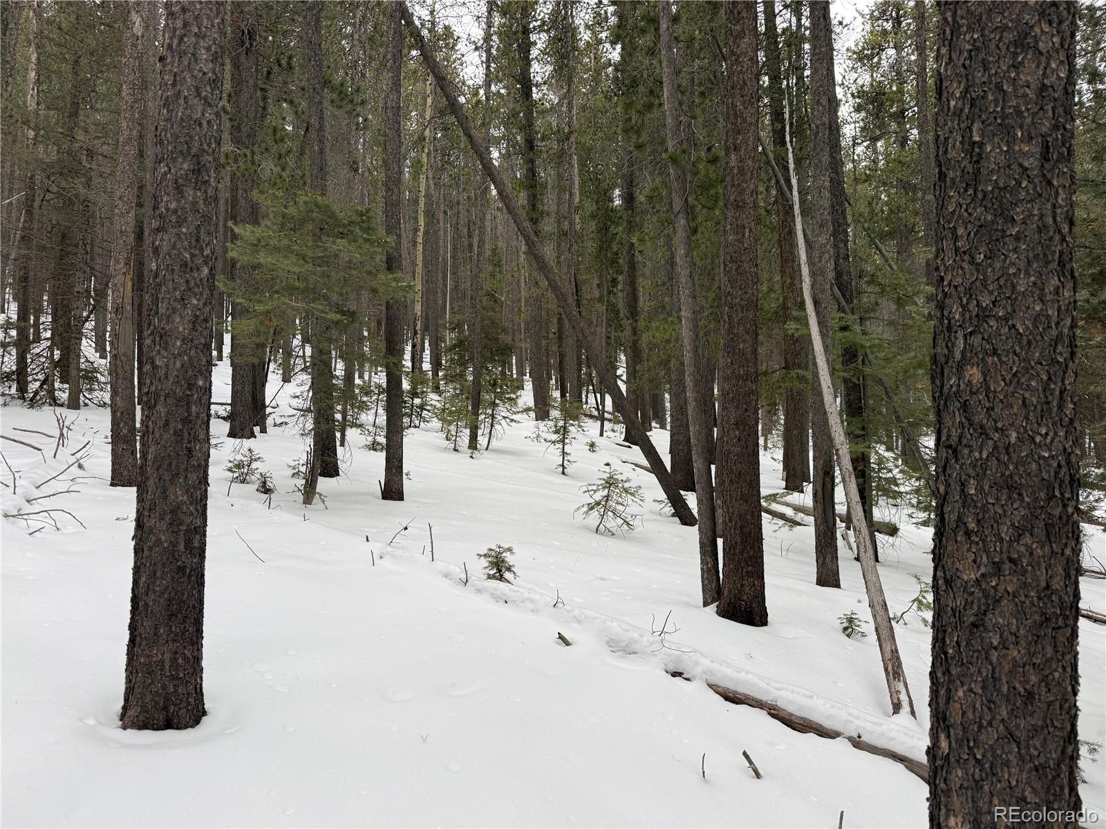 Lot 2759 Purnell Ln Lot 2759, Fort Garland, CO 81133