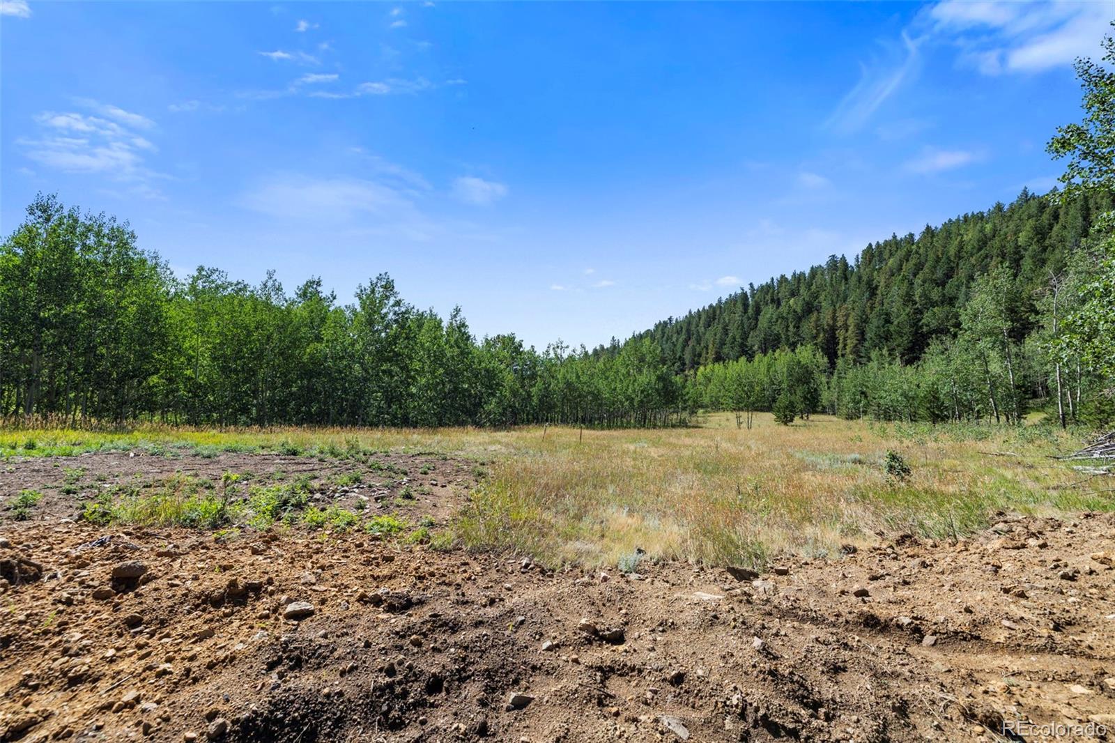 3 Red Tail Ranch, Golden, CO 80403