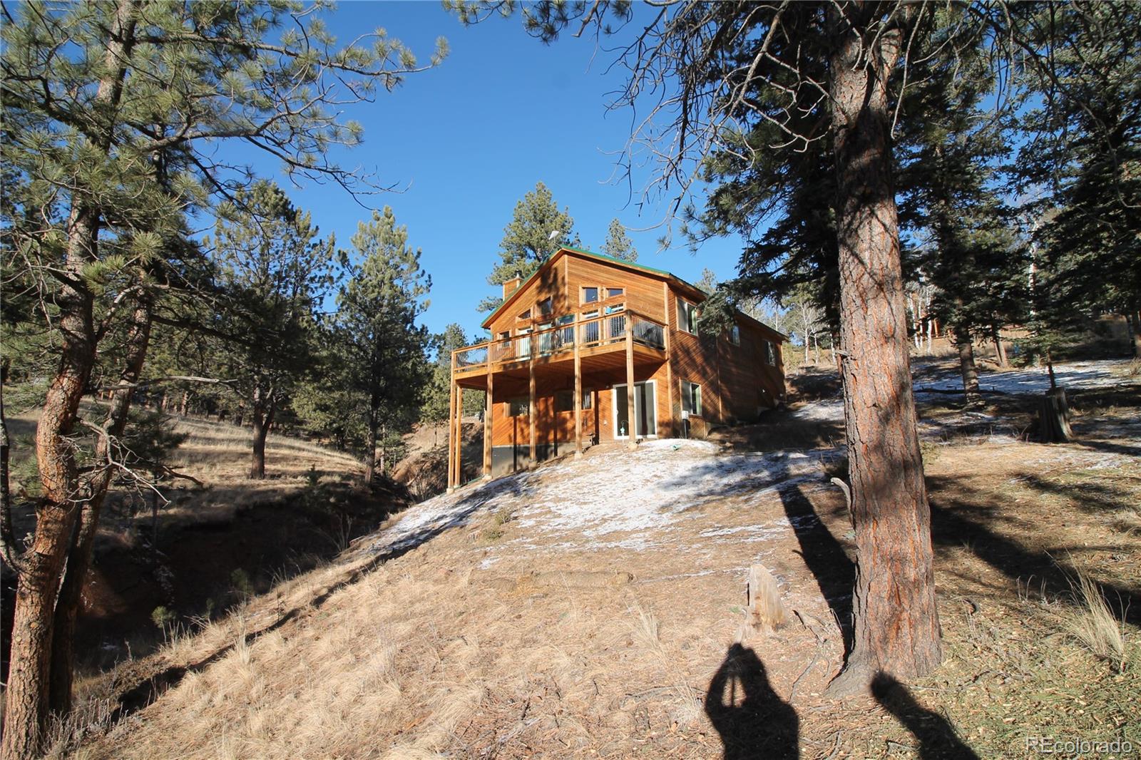 11845 S Stallion Dr, Pine, CO 80470