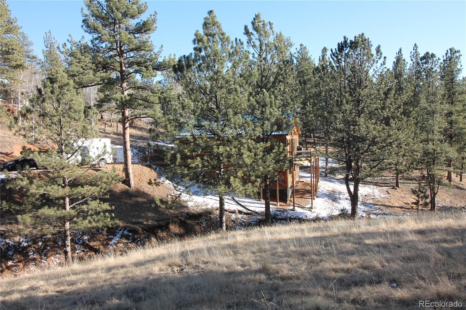 11845 S Stallion Dr, Pine, CO 80470