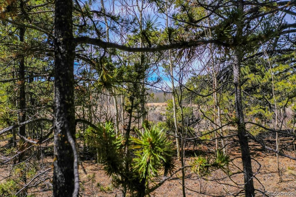414 Wheat Way Lot 22, Fairplay, CO 80440