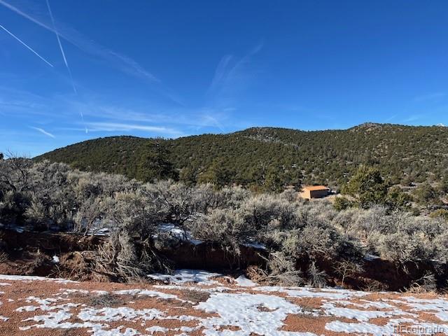 Lot 4554 Clausen Rd, Fort Garland, CO 81133