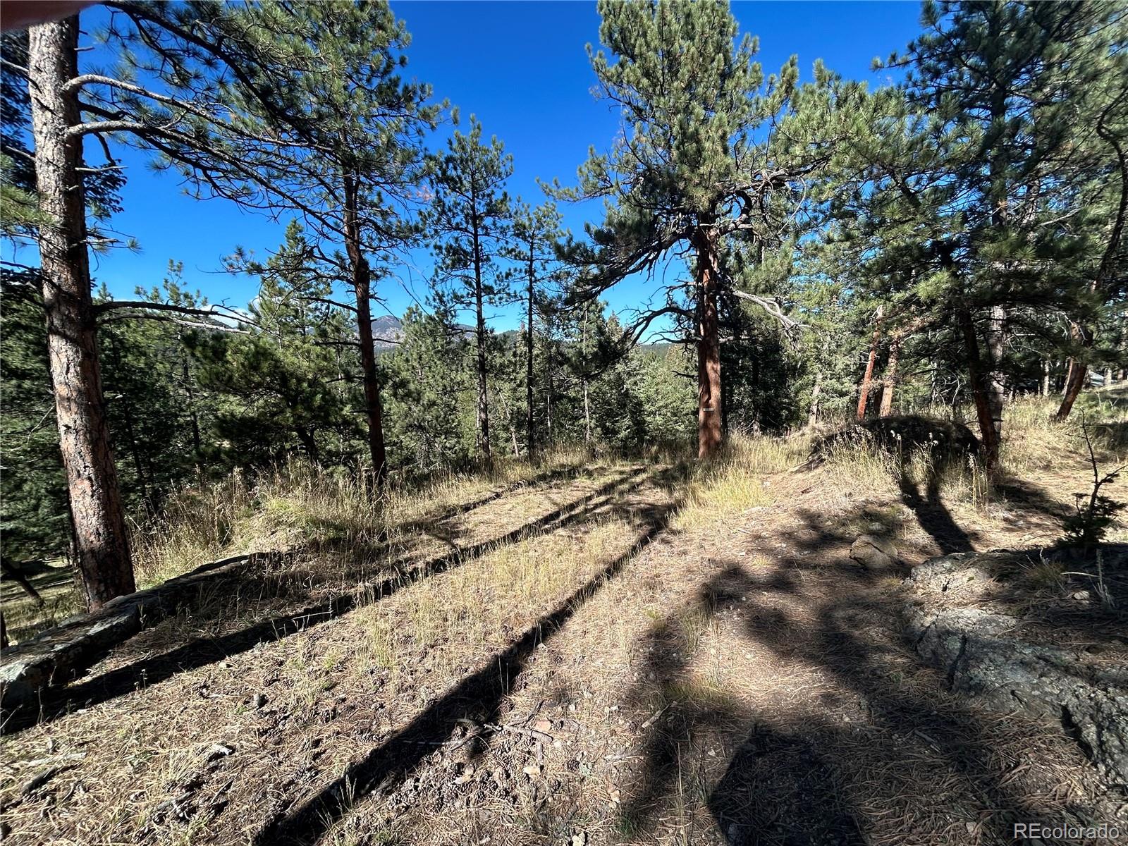0 Pine Rd, Evergreen, CO 80439