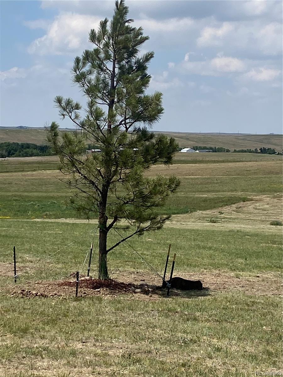 43653 Vega St Lot 3, Kiowa, CO 80117