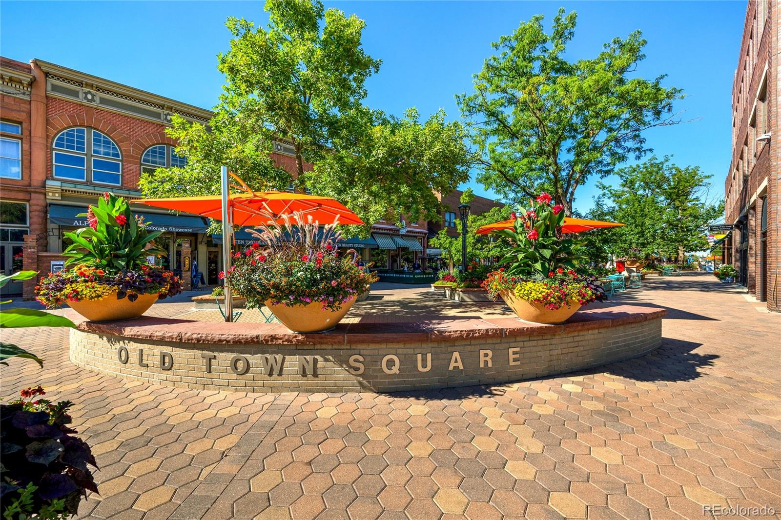 228 E Oak St, Fort Collins, CO 80524