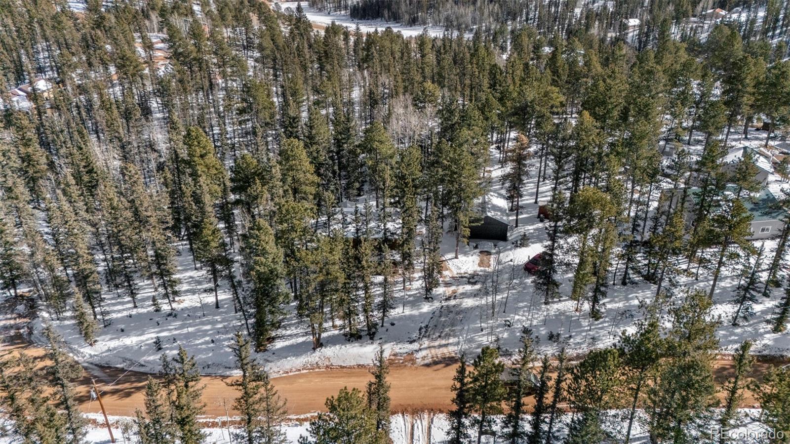 4076 Omer Ln, Divide, CO 80814