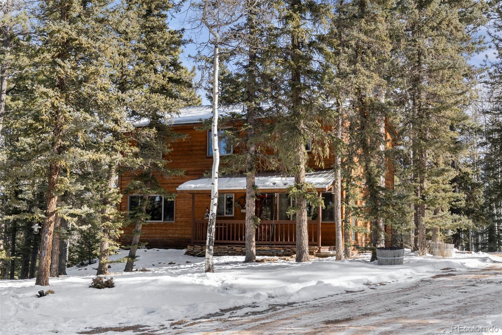 4076 Omer Ln, Divide, CO 80814