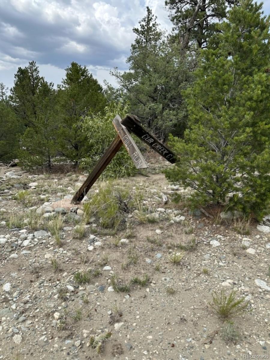 22 Cub Creek Rd Lot 26, Mosca, CO 81146