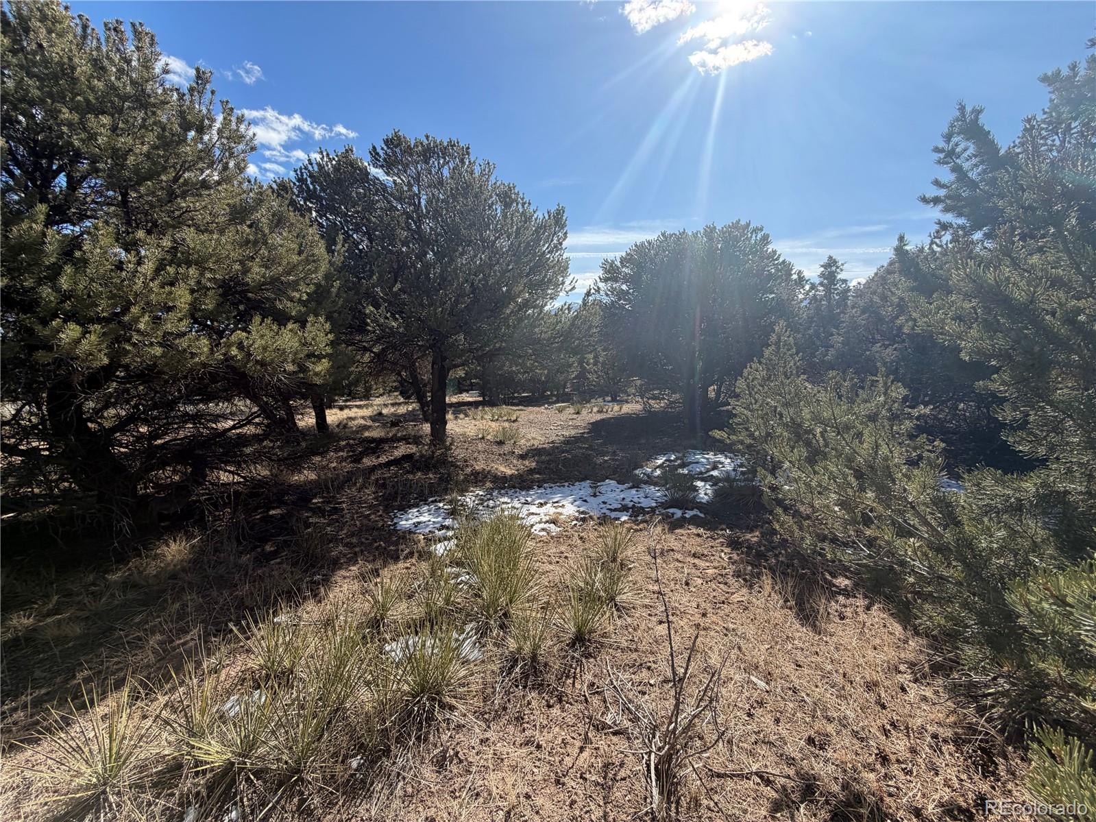 390 Cameron Pass Rd Lot 1-2, South Fork, CO 81154