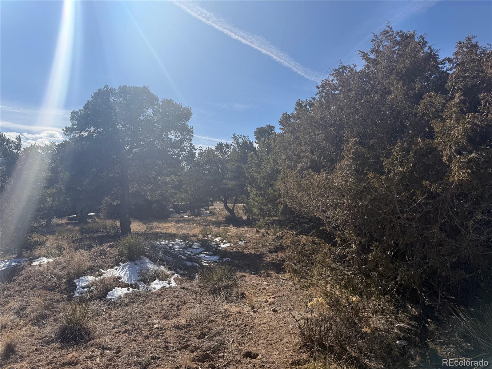390 Cameron Pass Rd Lot 1-2, South Fork, CO 81154