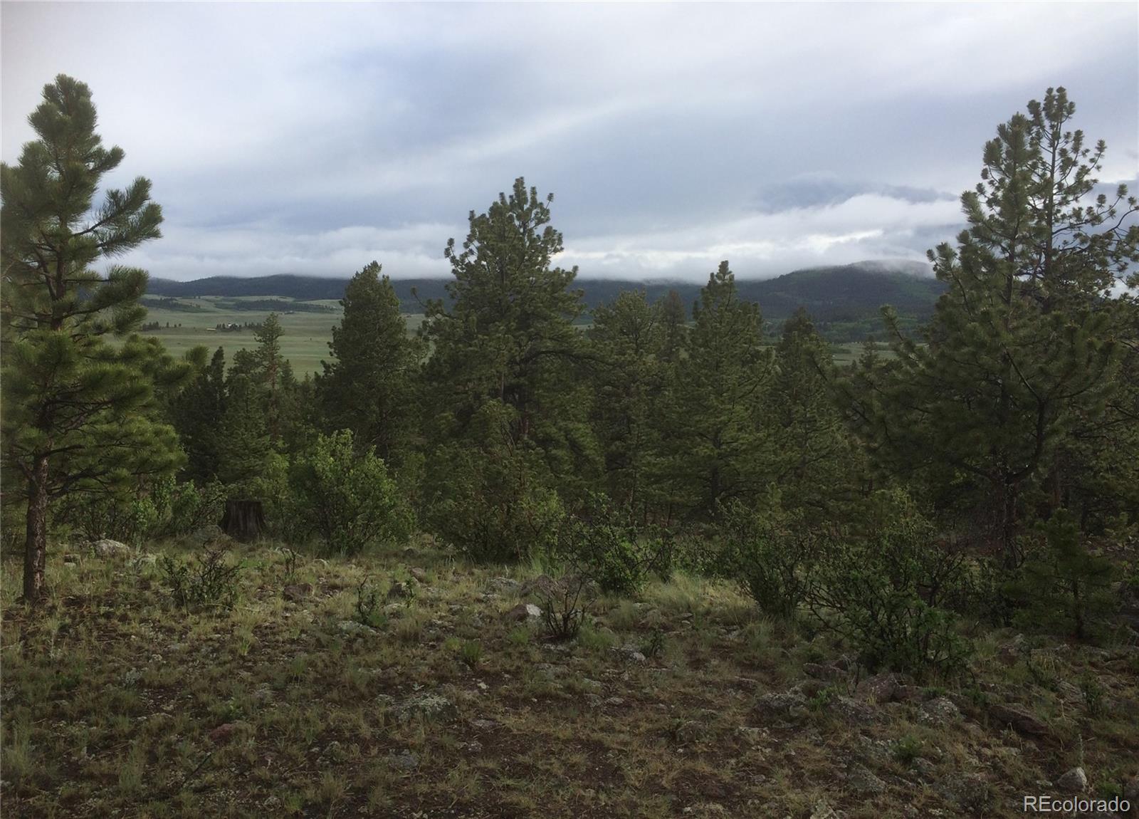 256 Bandana Rd Lot 0471, Hartsel, CO 80449