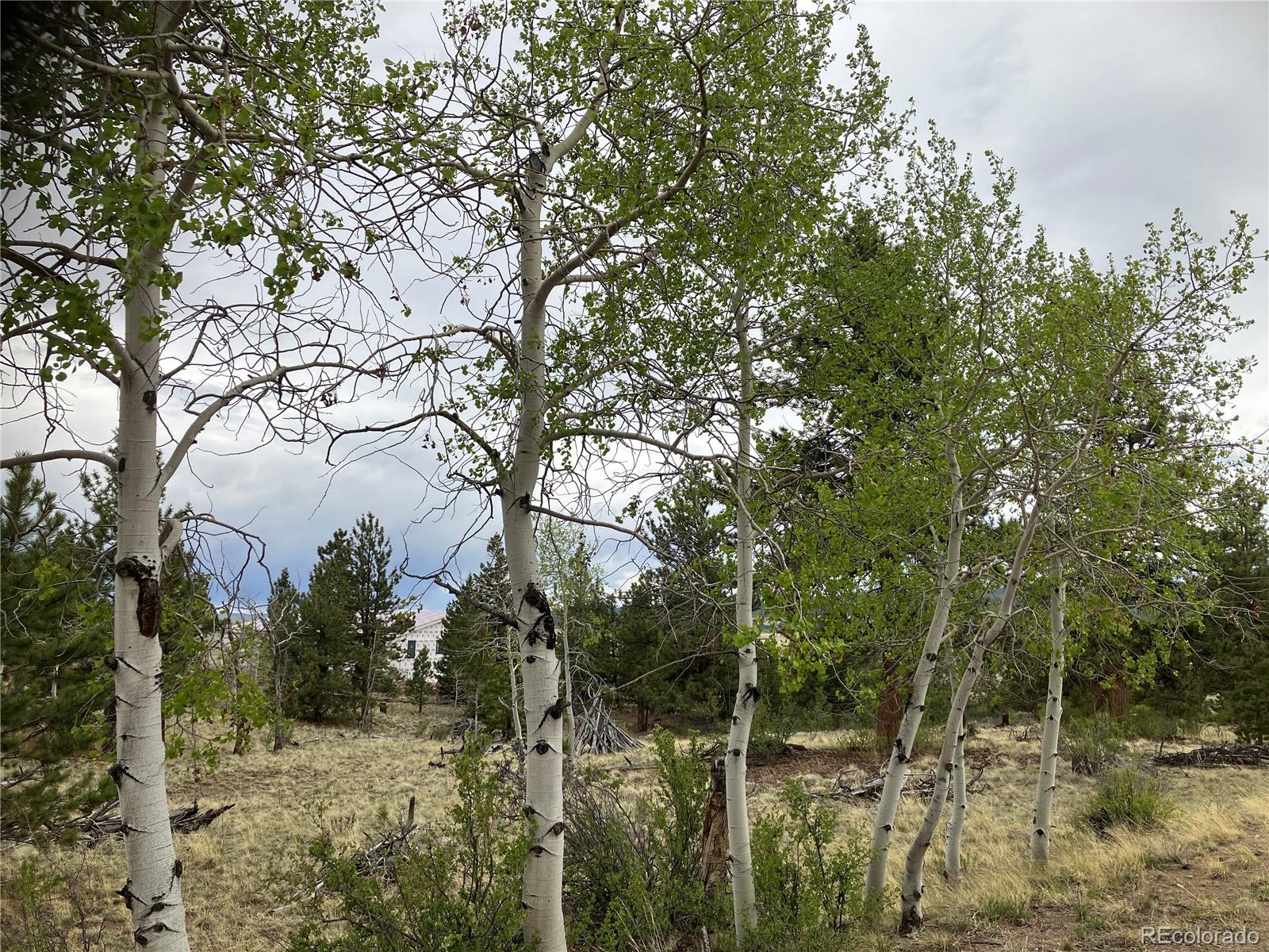 256 Bandana Rd Lot 0471, Hartsel, CO 80449