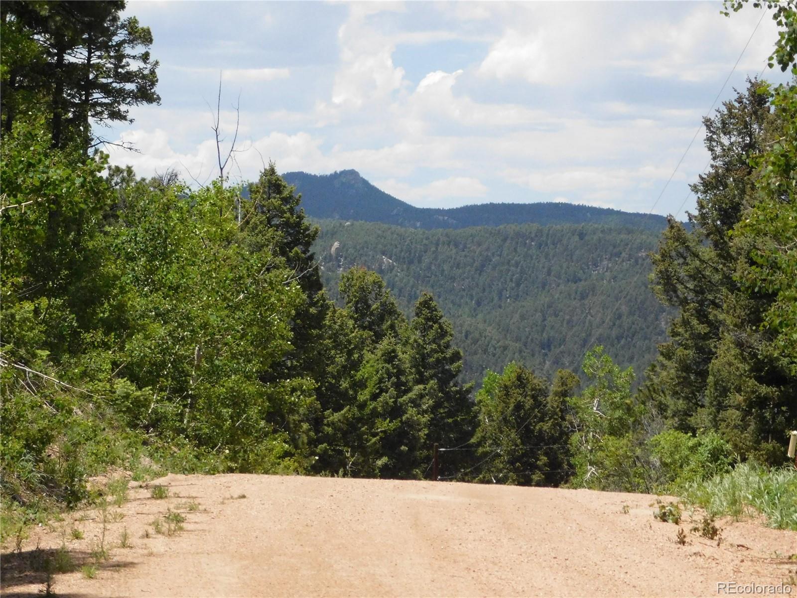 13670 Spruce Creek Cir, Larkspur, CO 80118