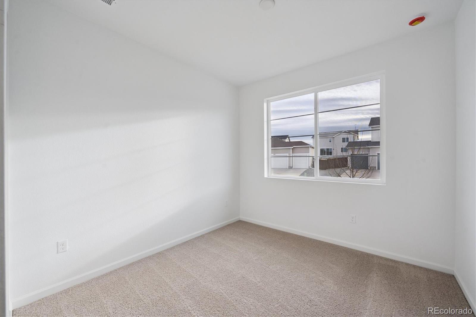 5717 Brangus Dr, Windsor, CO 80528