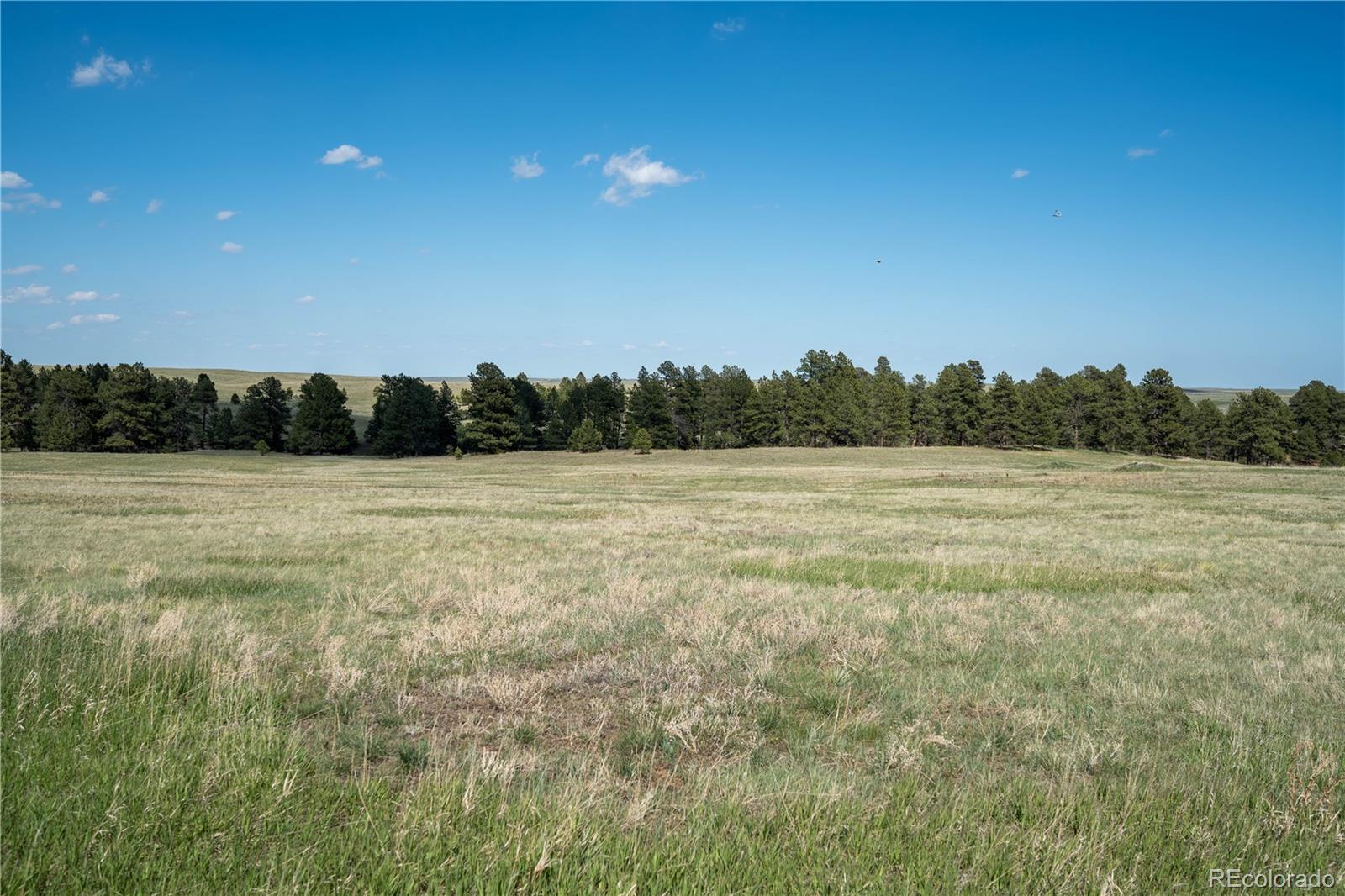 TBD-2 Paradise Cir Lot 2, Elizabeth, CO 80107