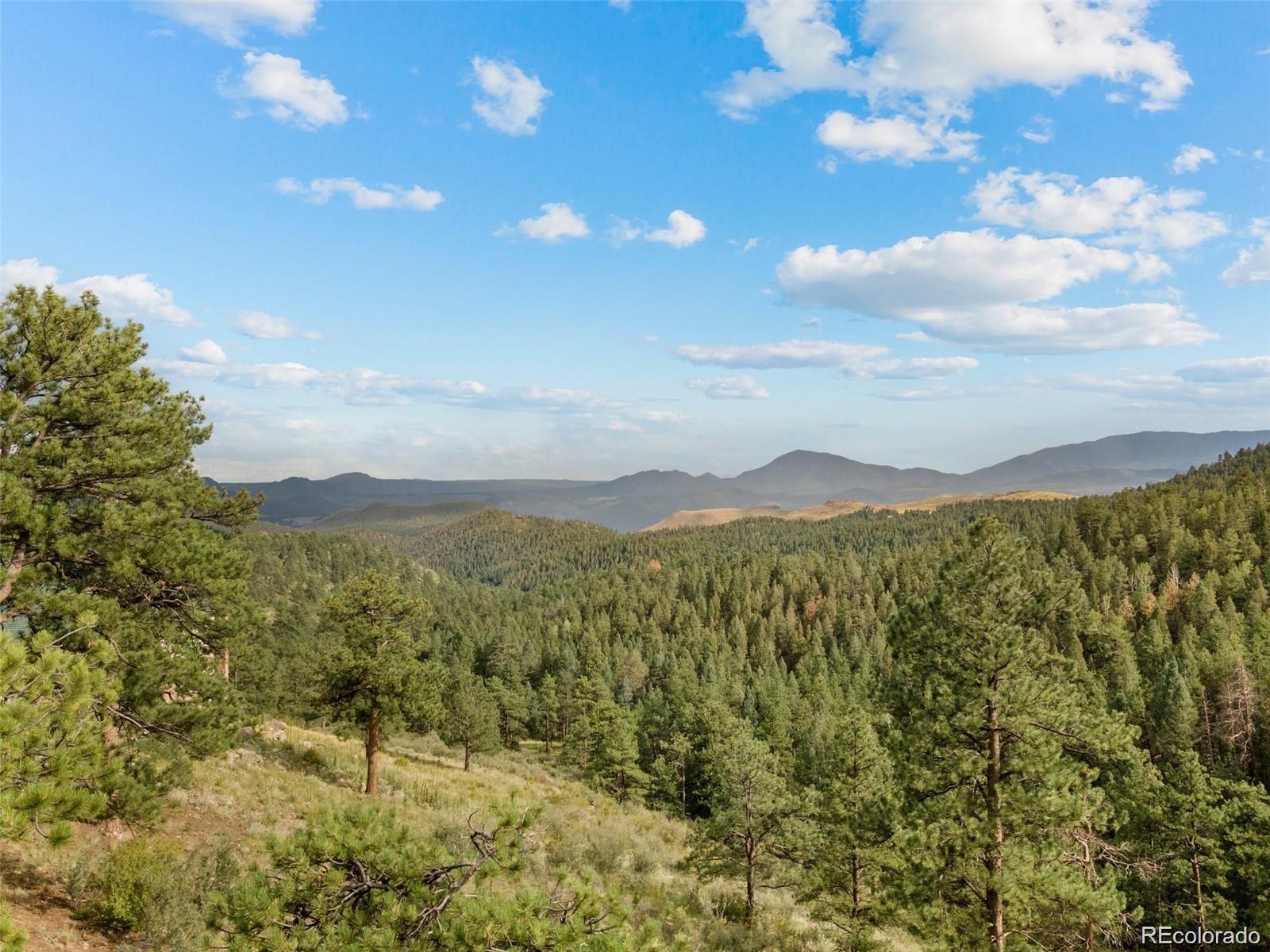 13817 Gordon Ct, Pine, CO 80470