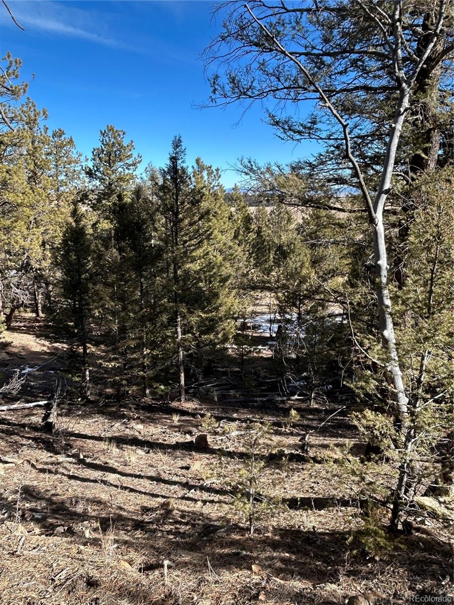 4376 Campfire Rd Lot 763, Hartsel, CO 80449