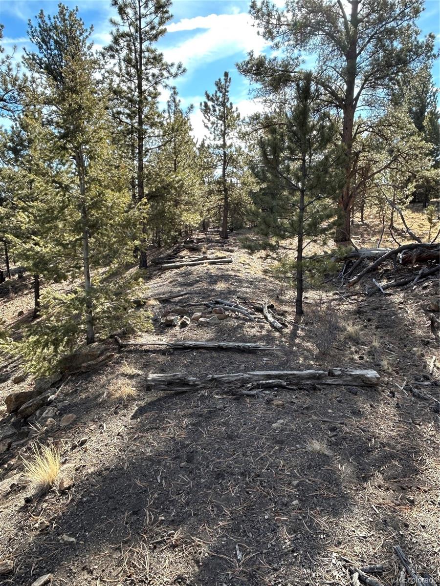 4376 Campfire Rd Lot 763, Hartsel, CO 80449
