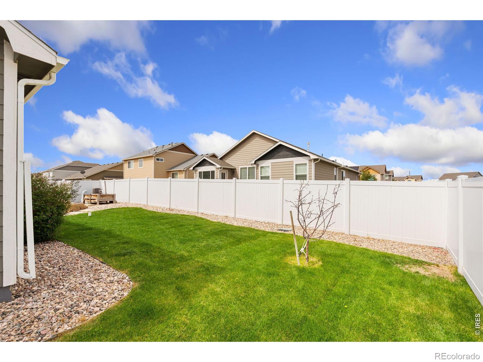 7541 Little Fox Ln, Wellington, CO 80549