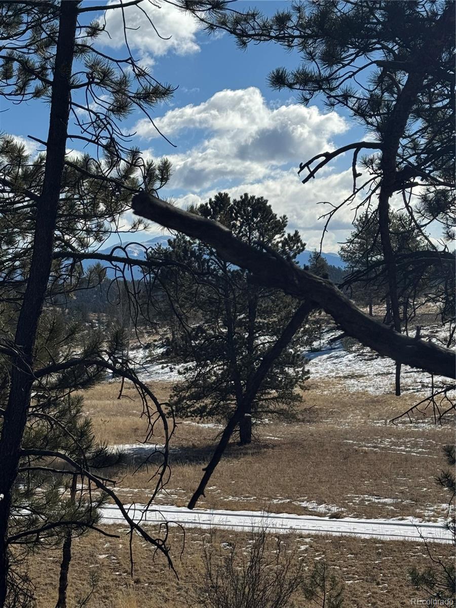 861A State Highway 24, Lake George, CO 80827