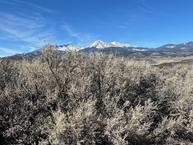 Lot 4875 Durante Rd, Fort Garland, CO 81133