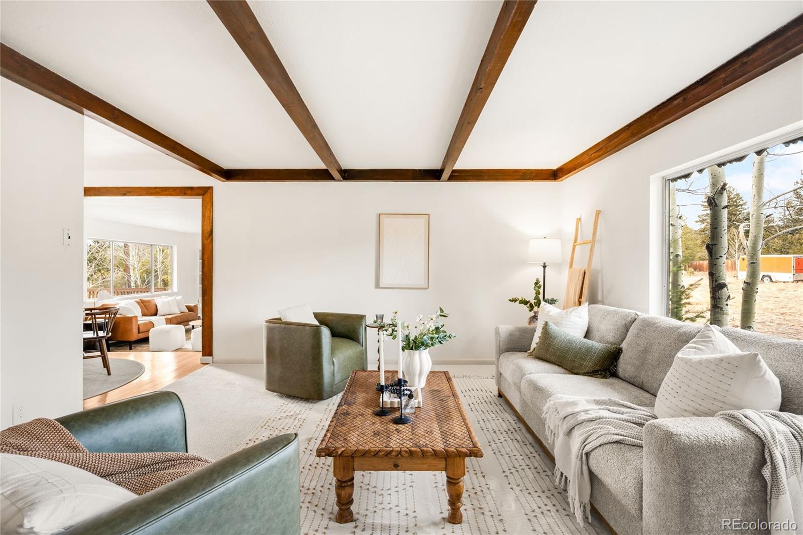 34657 Mohawk Trl, Pine, CO 80470