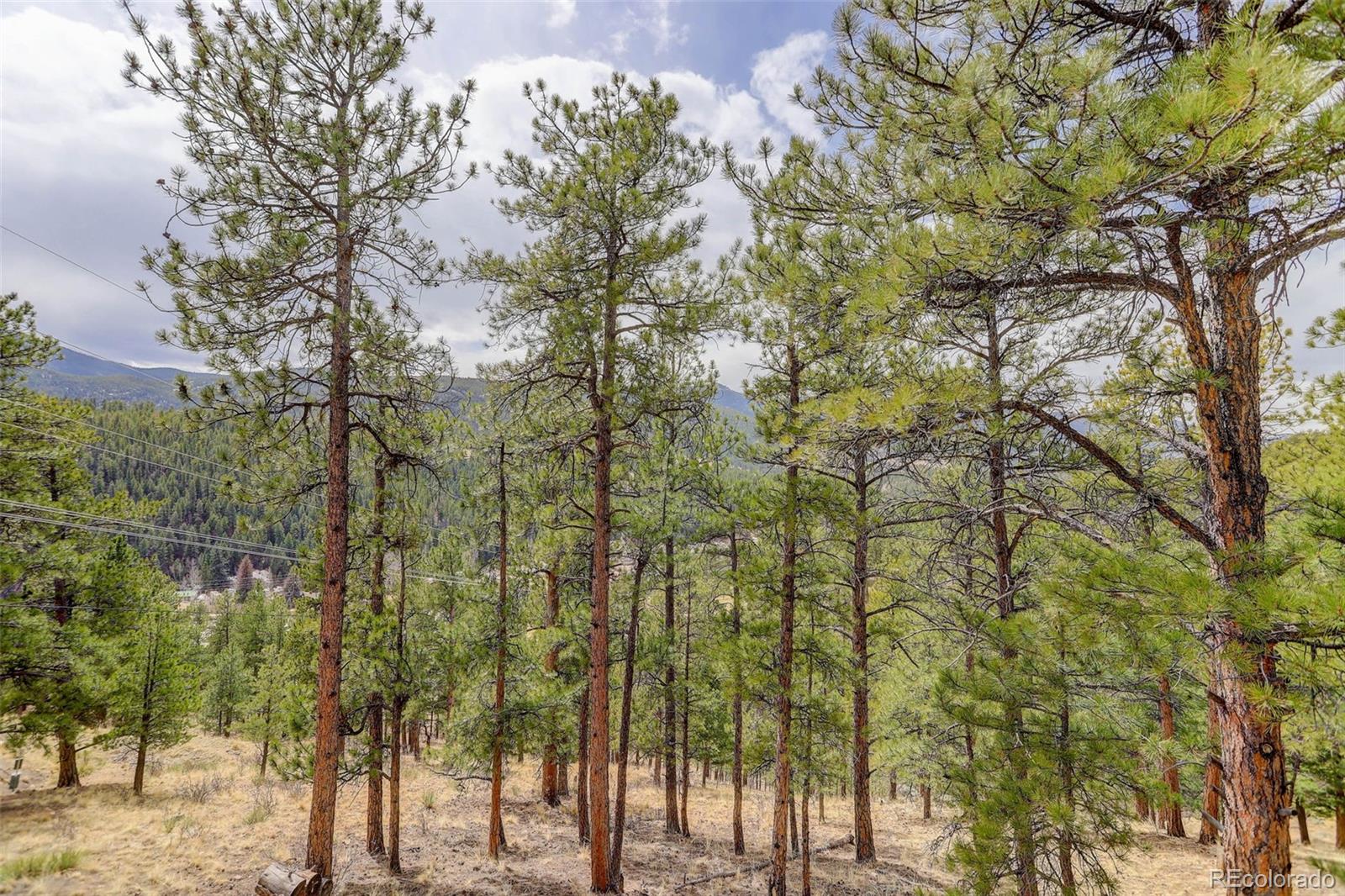 307 Virginia Rd, Bailey, CO 80421