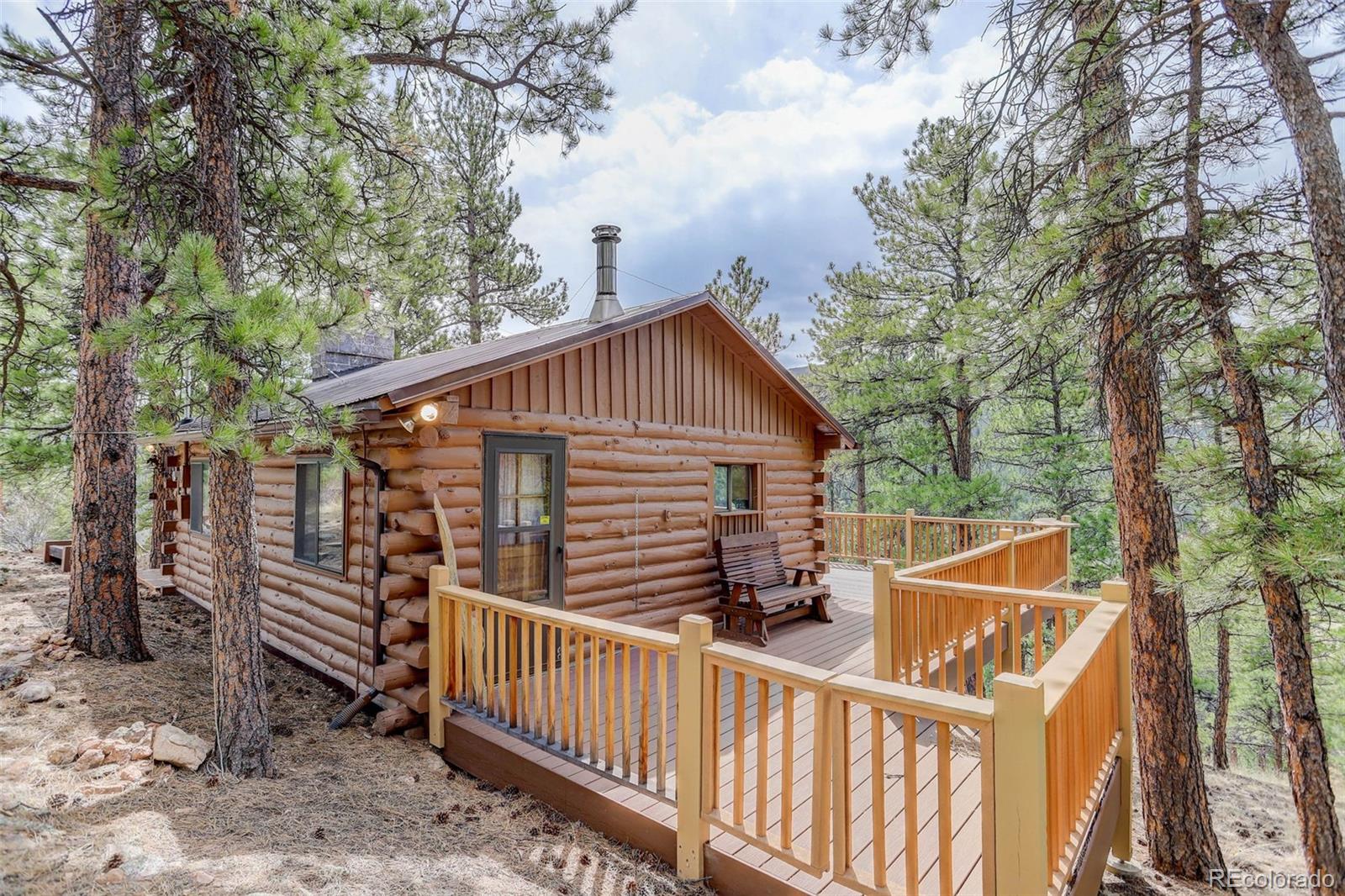 307 Virginia Rd, Bailey, CO 80421