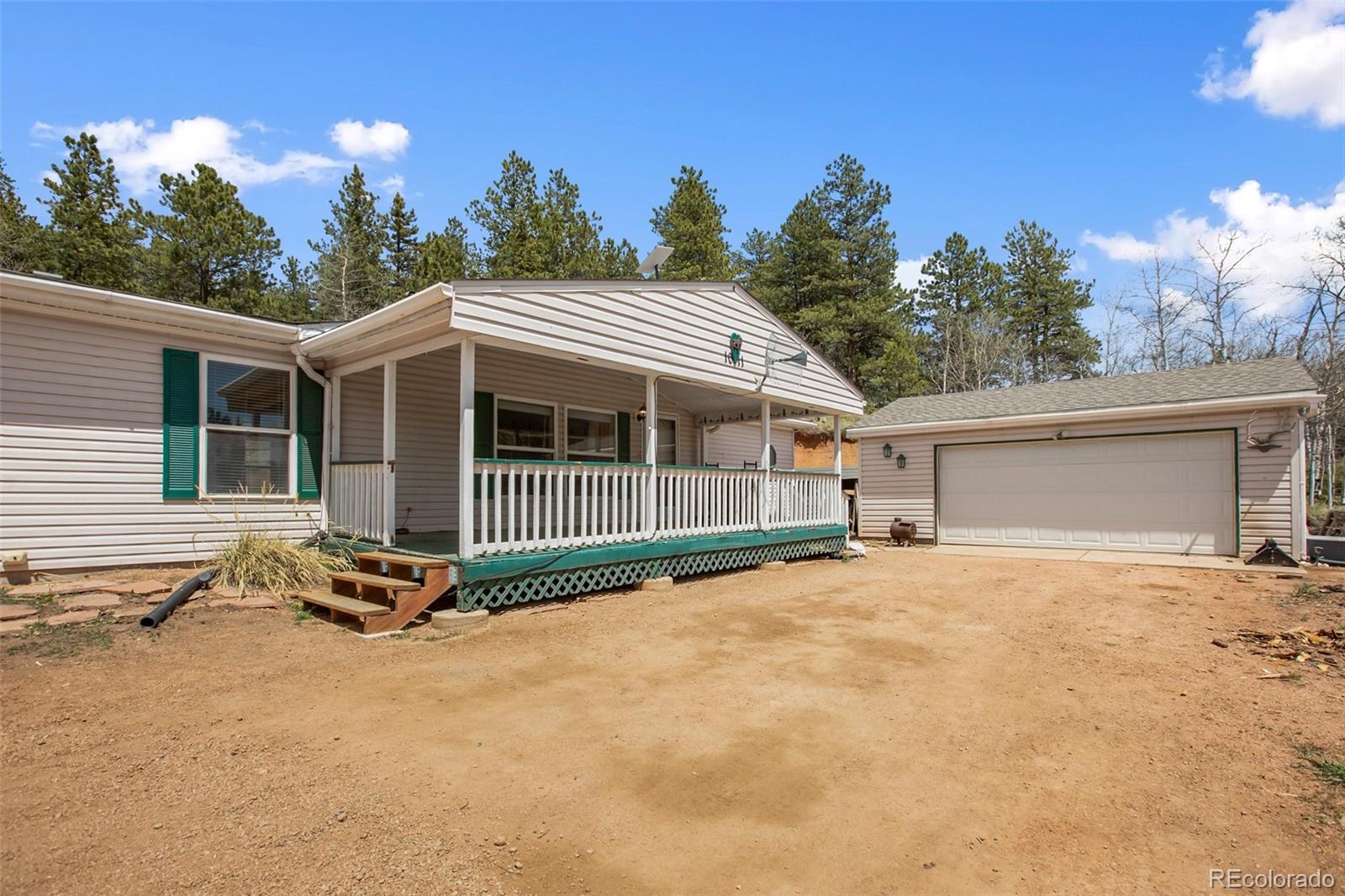 1011 W Bison Creek Trl, Divide, CO 80814