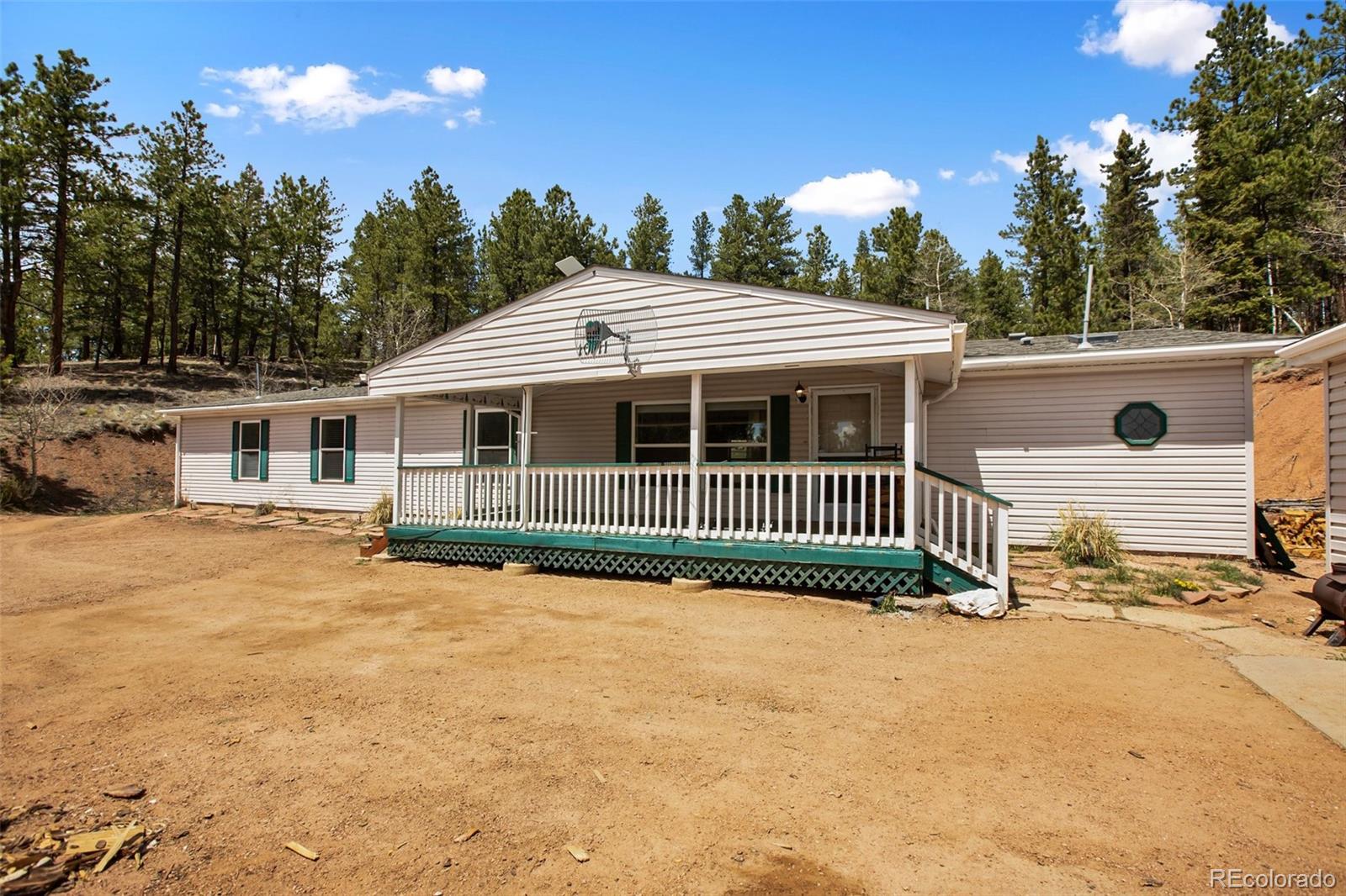 1011 W Bison Creek Trl, Divide, CO 80814