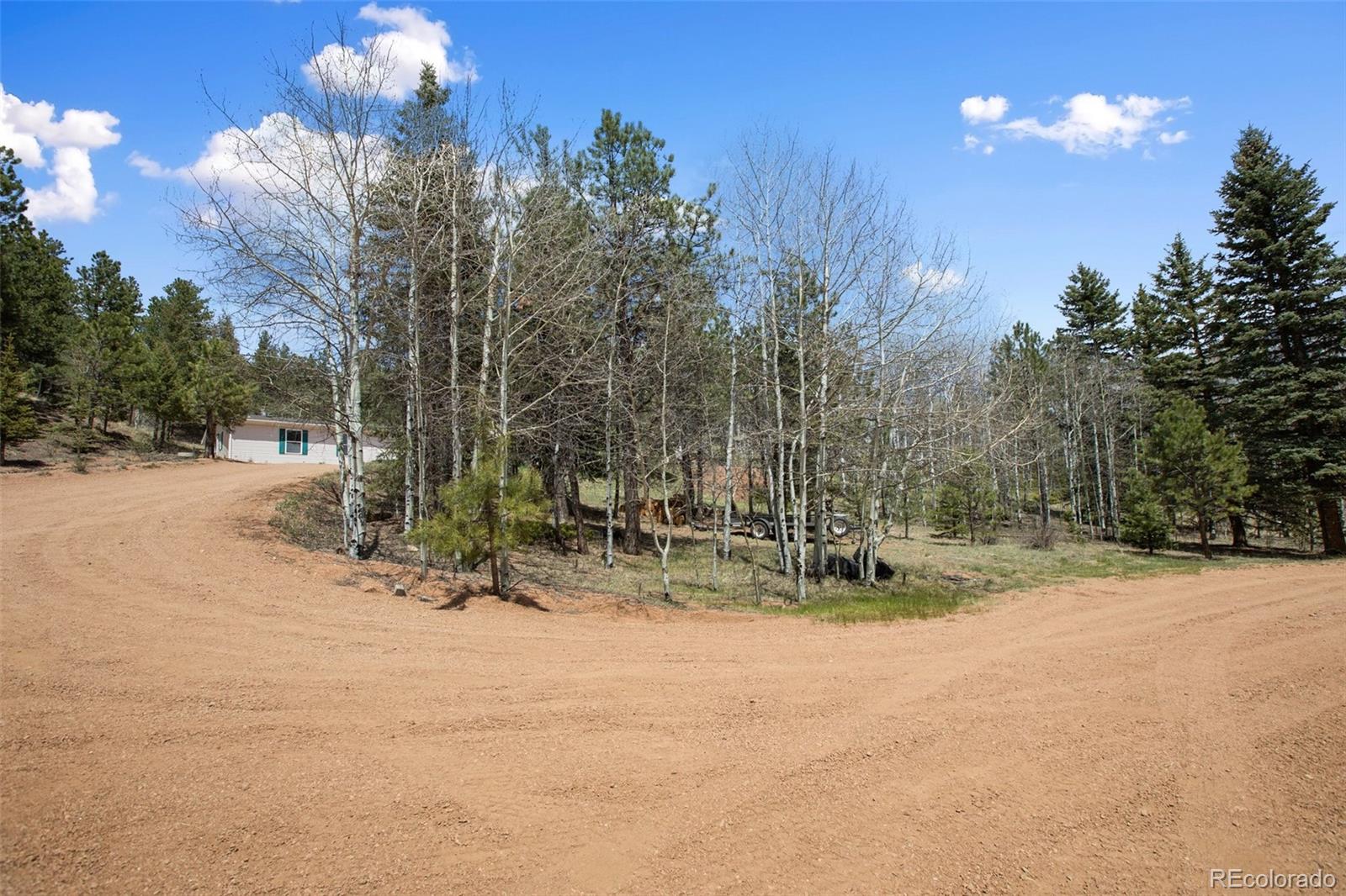 1011 W Bison Creek Trl, Divide, CO 80814